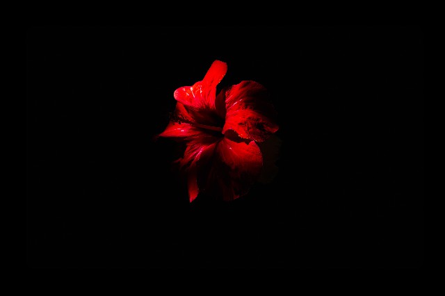 RBN – Rosso, Bianco e Nero
