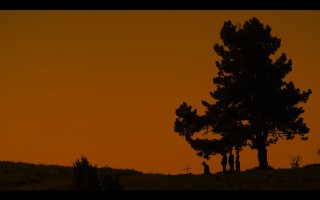 Rosso Violenza