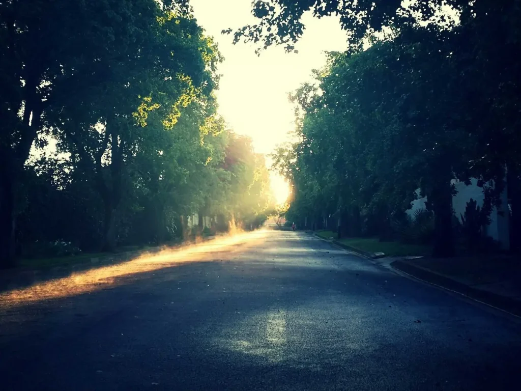 Soft Focus