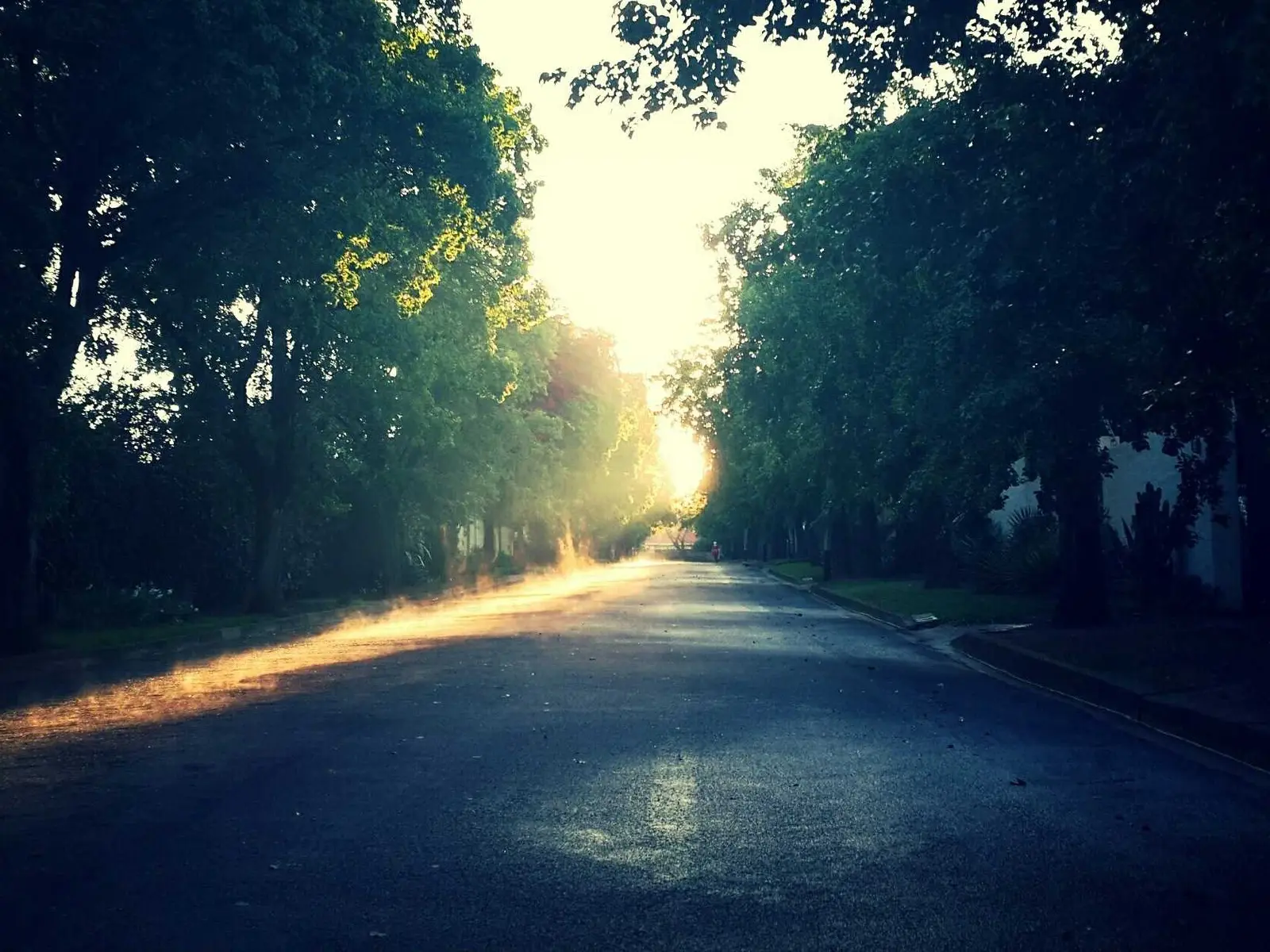 Soft Focus