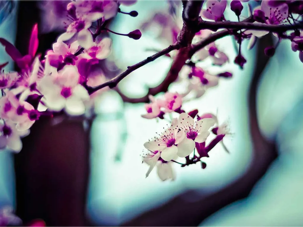 Suspended Moments